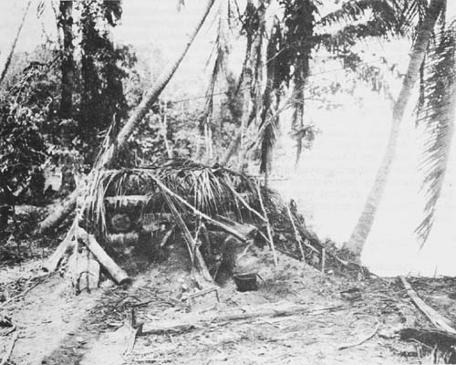 [Japanese Bunker, Pacific WW2]