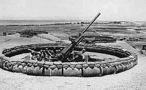 U.S. Artillery of World War 2